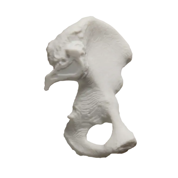 Formlabs 通用樹脂 V5 系列