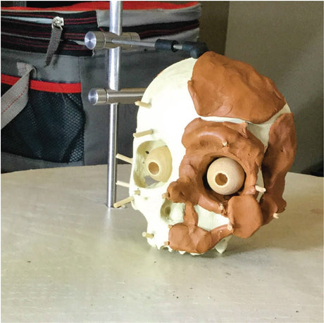 【3D列印快訊】3D列印的考古研究應用
