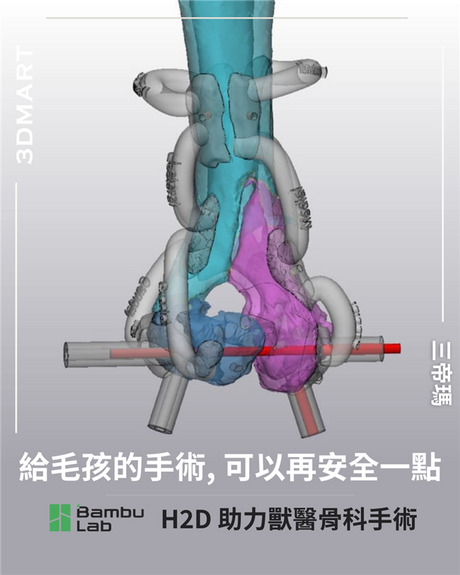 【3D列印】給毛孩的手術，可以再安全一點：Bambu Lab H2D 助力獸醫骨科手術